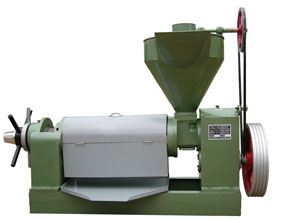 6YL-80 oil pressing machine