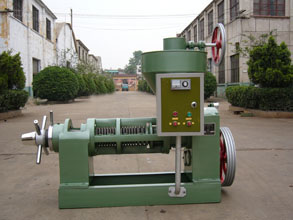 6YL-95 vegetable oil screw press